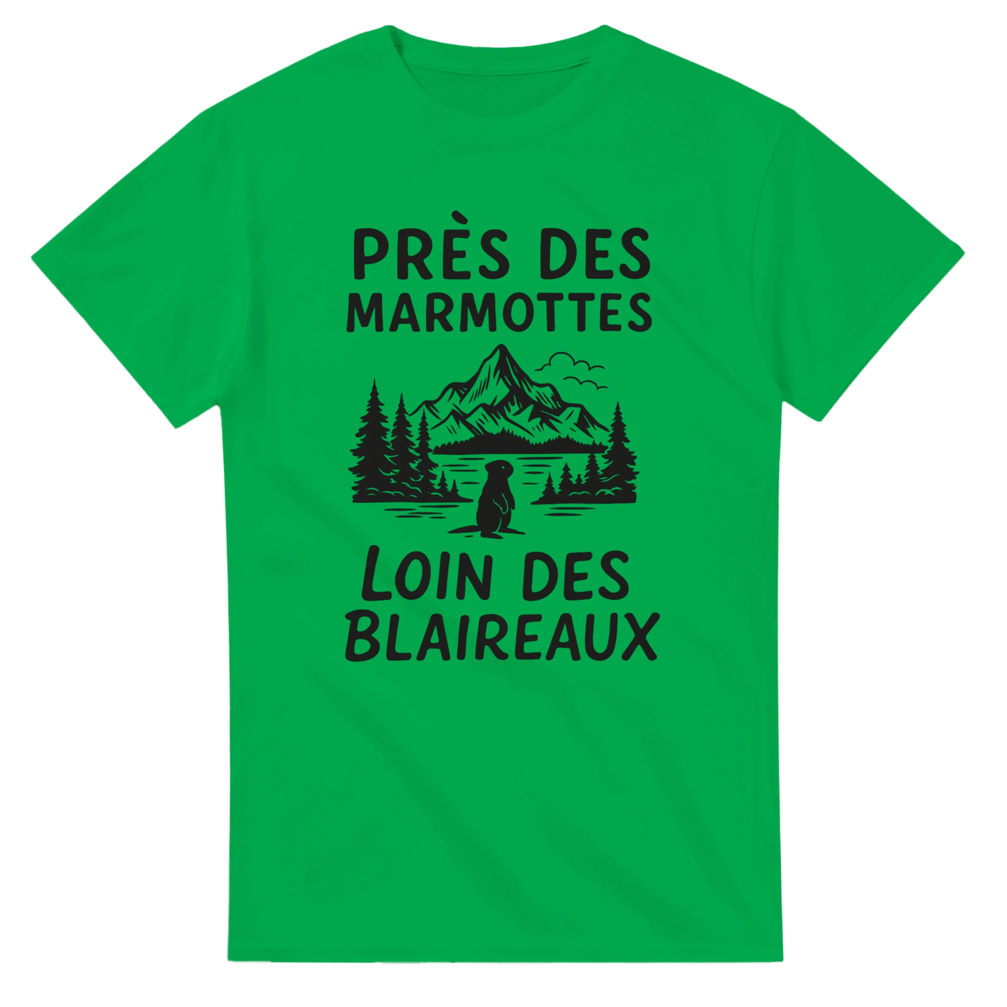 0aed632f-0407-4443-9fe0-5d266ed36446